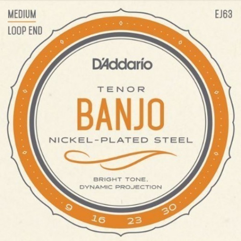 D'Addario EJ63 Banjo string set,Tenor